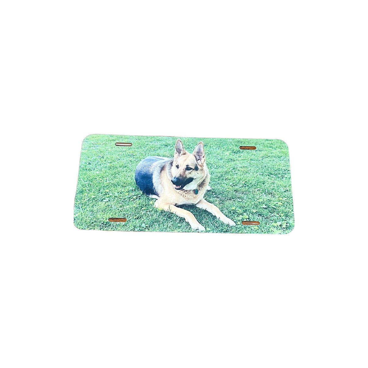 Custom Pet Photo License Plate