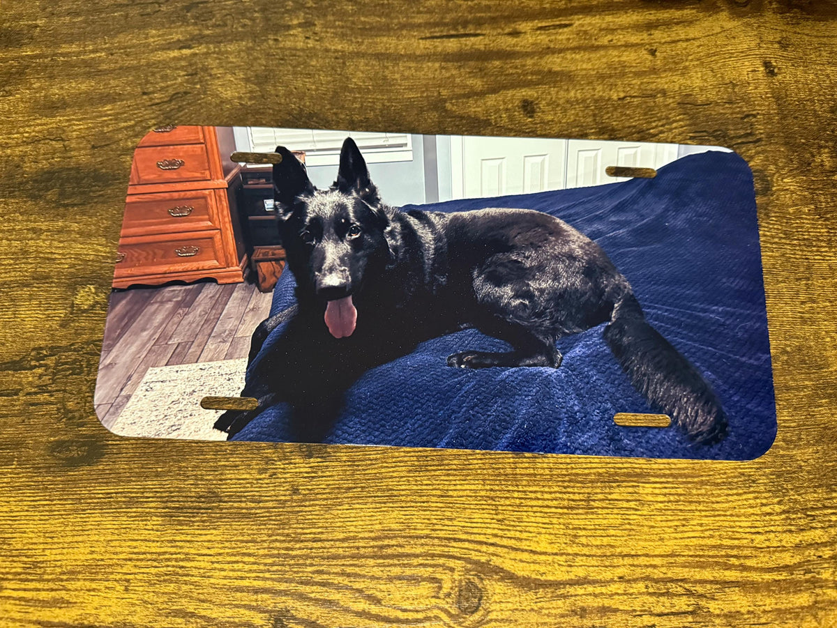 Custom Pet Photo License Plate